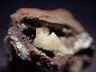 mine5.gif (7823 bytes)