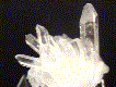 mine7.gif (4685 bytes)